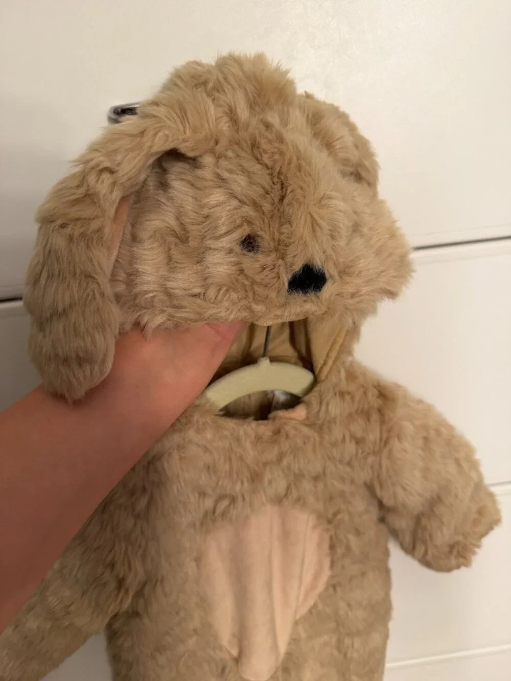 Pottery Barn Kids Baby Labradoodle Dog Halloween Costume 2024, Size 0-6m - Picture 5 of 10